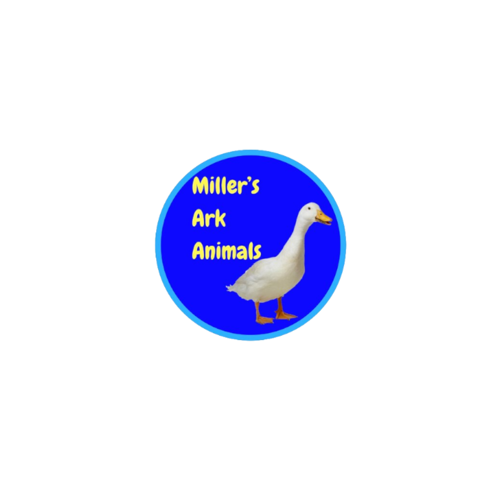 Miller's Arc Logo